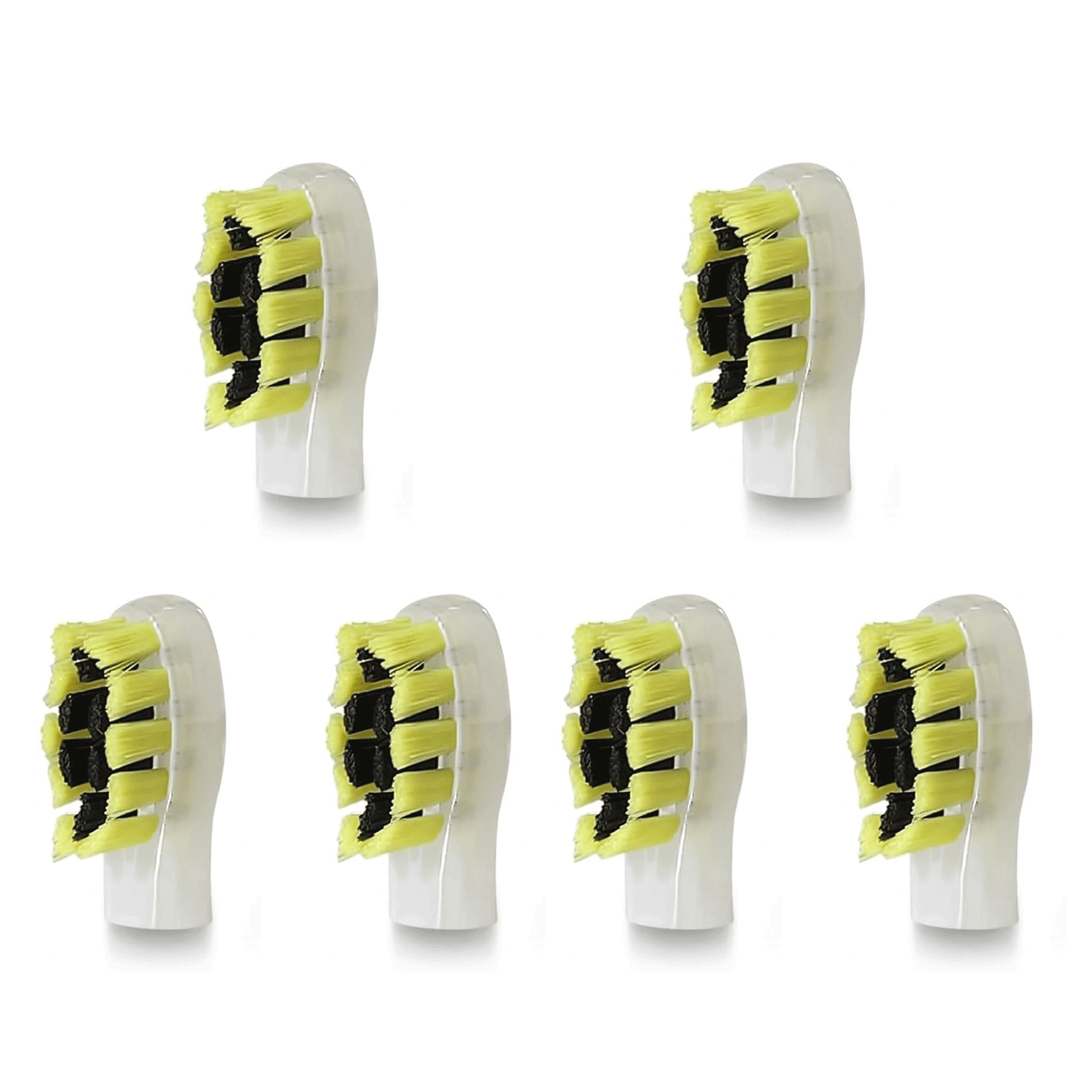 iMusthav Replacement Brush Heads for Sonic Toothbrush